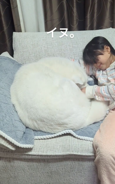 娘にモフられるデカワンコ