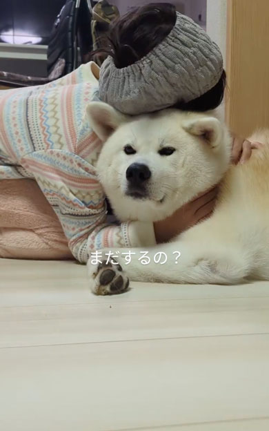 ワンコをもふもふする娘