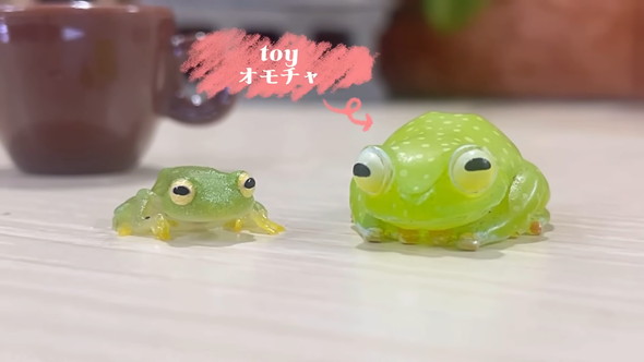 自分に似たフィギュアを見たカエルさんの反応