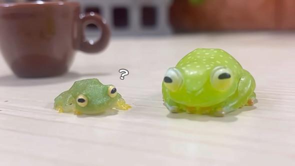 自分に似たフィギュアを見たカエルさんの反応