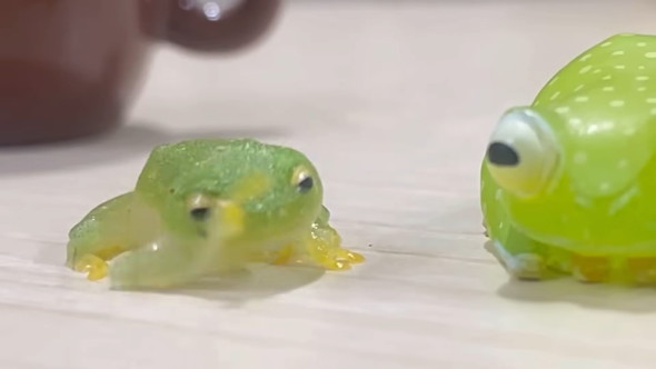 自分に似たフィギュアを見たカエルさんの反応
