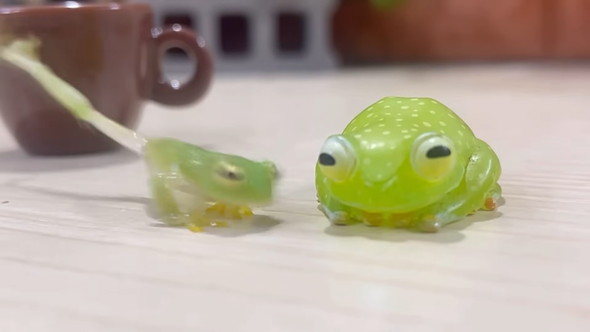 自分に似たフィギュアを見たカエルさんの反応