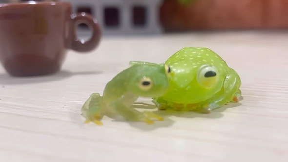 自分に似たフィギュアを見たカエルさんの反応