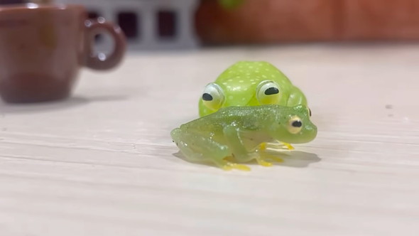 自分に似たフィギュアを見たカエルさんの反応