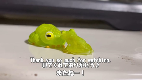 自分に似たフィギュアを見たカエルさんの反応