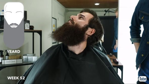 ヒゲ 1年間 伸ばし続けた 男性 動画 ビフォーアフター 変化