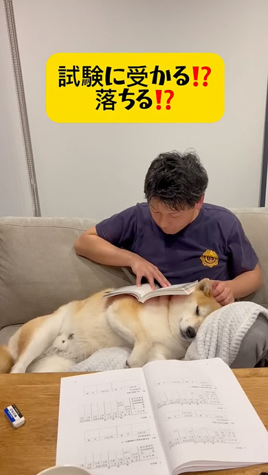 おすすめ