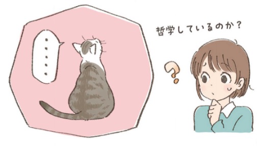 『ネコの気持ちがわかる50のポイント』