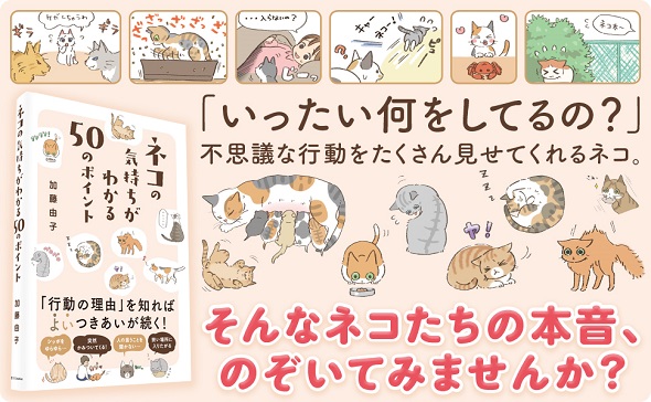 『ネコの気持ちがわかる50のポイント』