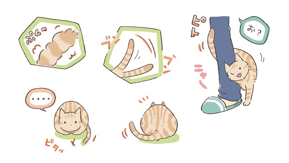 『ネコの気持ちがわかる50のポイント』