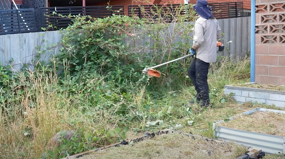 庭の手入れ 雑草 オーストラリア