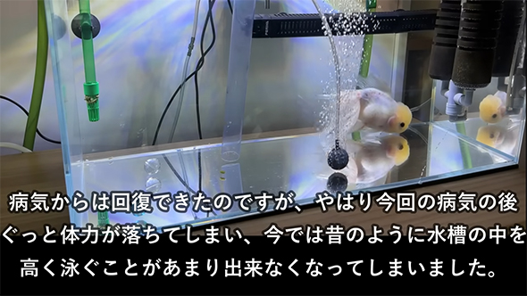 病気からは回復できたのですが