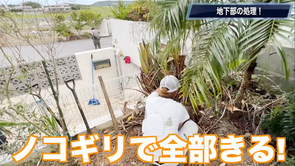 観葉植物を全撤去