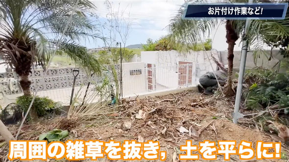 観葉植物を全撤去