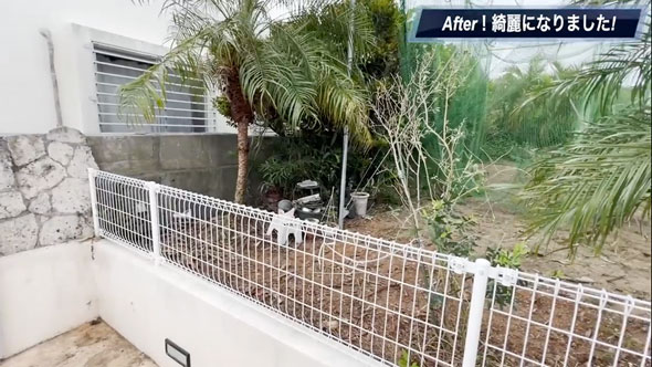 観葉植物を全撤去