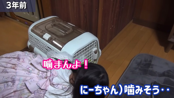 家にやってきたニャンコ