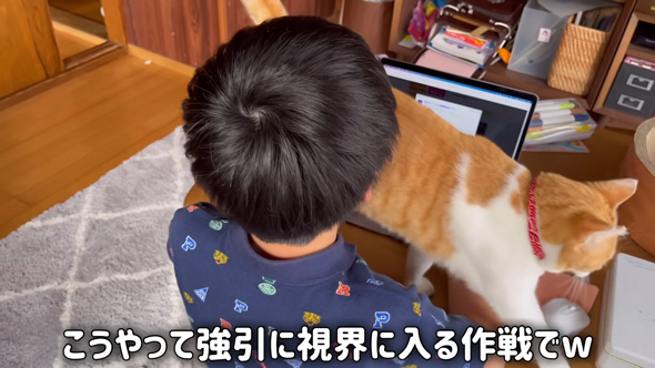 催促するニャンコ