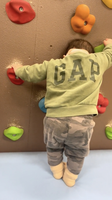 壁を登ろうとする1歳児