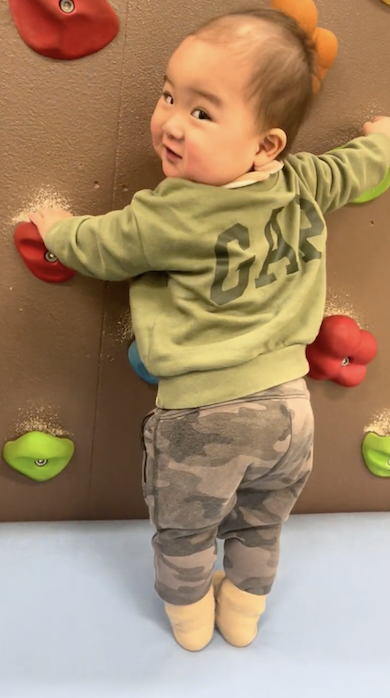 壁を登ろうとする1歳児