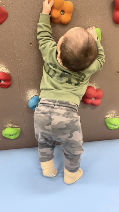 壁を登ろうとする1歳児