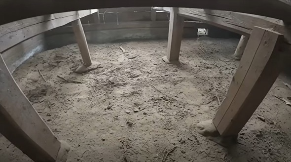 築年数不明のやばい家の床板をはがしたらえぐい量の土埃