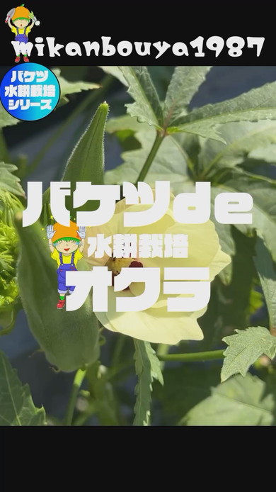 おすすめ