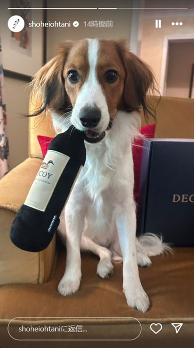 大谷翔平の愛犬・デコピン