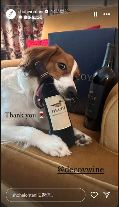 大谷売れの可能性も……？ 大谷翔平選手、愛犬デコピンが“咥えた