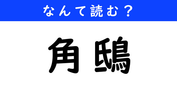 漢字クイズ　難読漢字　角鴟