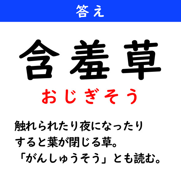 漢字クイズ　難読漢字　含羞草