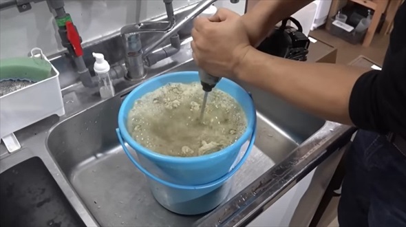 巨大リクガメにゼリーをプレゼント