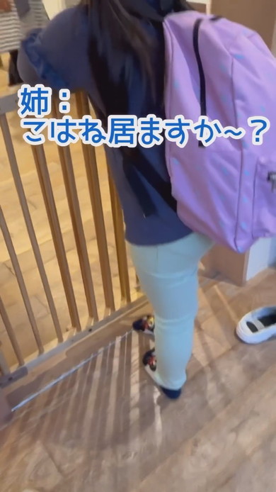 お姉ちゃんとママのお迎え時に見える1歳の子の反応の差