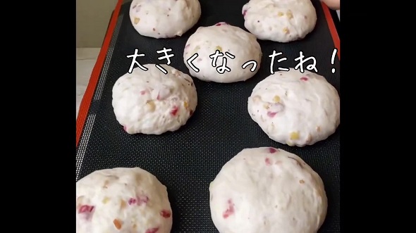 パン屋にあったら絶対に買ってしまう大好物のパン を再現するため、2度発酵させた生地