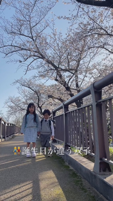 誕生日の違う双子が小学校へ入学した様子