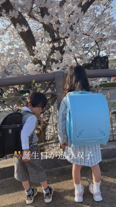 誕生日の違う双子が小学校へ入学した様子