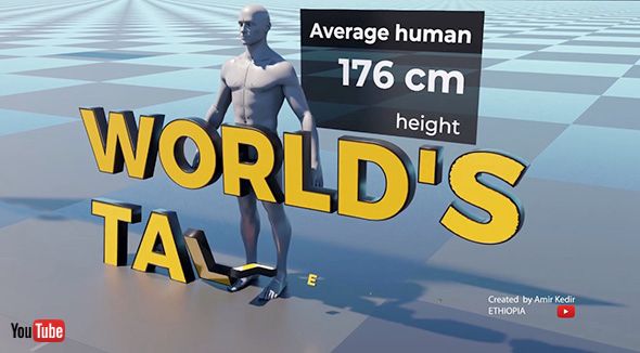 ランキング 海外 巨大