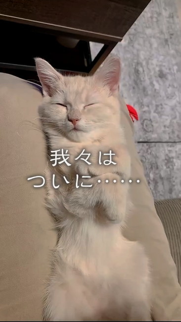 おすすめ