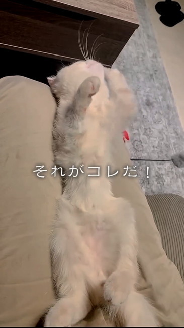 手をもぞもぞ