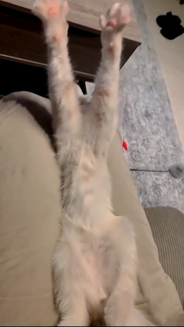 のびー