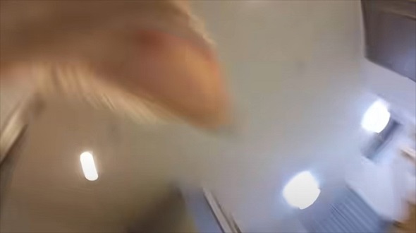 悪さばかりする猫に小型カメラを付けた結果