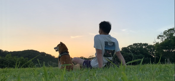 飼い主さんと一緒に芝生に座る柴ワンコ