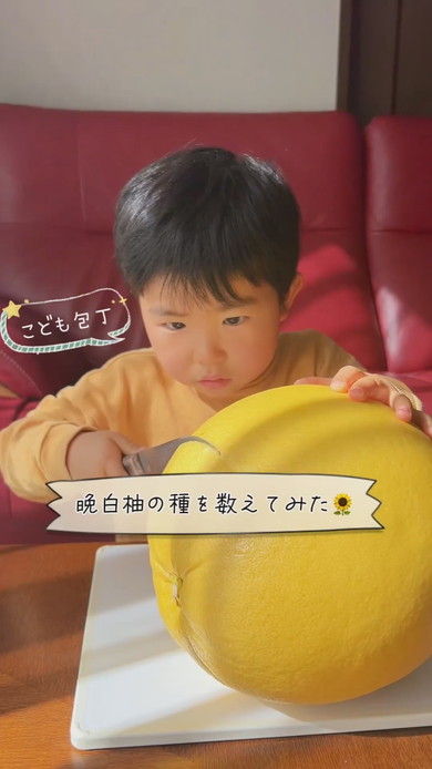 おすすめ