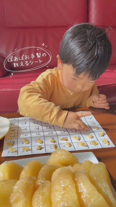 ばんぺいゆの種を数える3歳の男の子