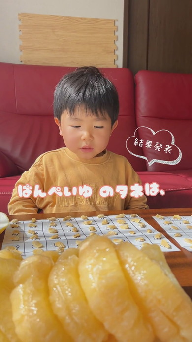 ばんぺいゆの種を数える3歳の男の子