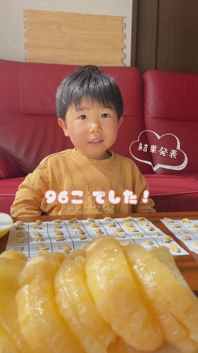 ばんぺいゆの種を数える3歳の男の子
