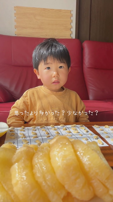ばんぺいゆの種を数える3歳の男の子
