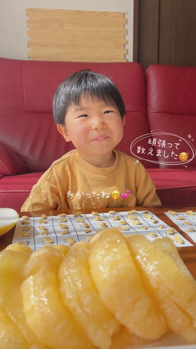 ばんぺいゆの種を数える3歳の男の子
