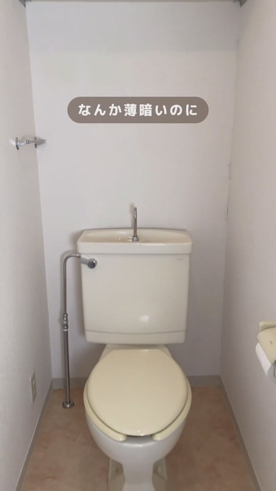築古物件トイレの壁紙変更