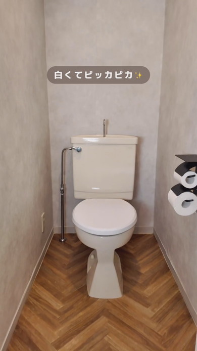 築古物件トイレの便座変更