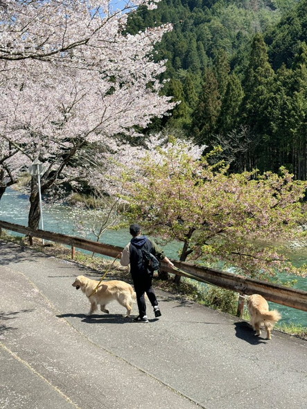 ワンコ2匹散歩